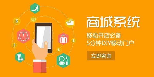 【網(wǎng)絡(luò)軟件開發(fā)公司】-